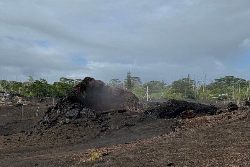 Fissure 8 Tour - Volcanoes National Park and Hilo Discovery 4