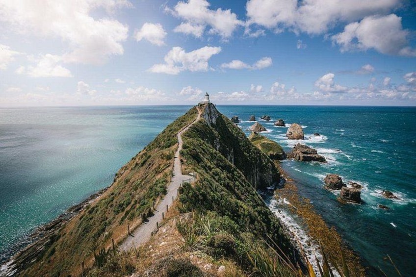 Dunedin to Te Anau via the Catlins One Way Small Group Tour 4