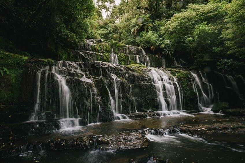 Dunedin to Te Anau via the Catlins One Way Small Group Tour 4