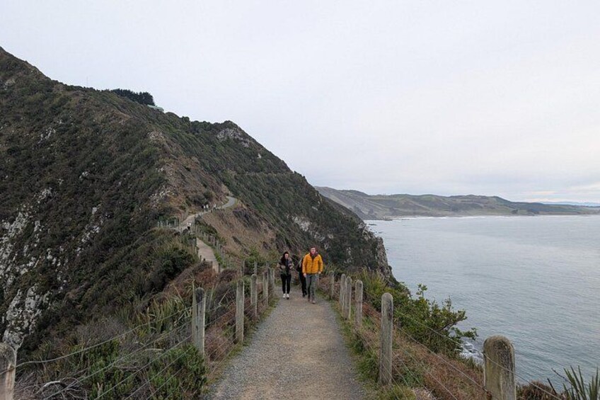 A coastal hiking trail with a person in a yellow jacket walking. 5
