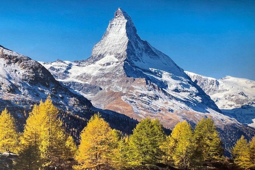 Un pico nevado de montaña con forma piramidal, rodeado de árboles otoñales amarillos. 1