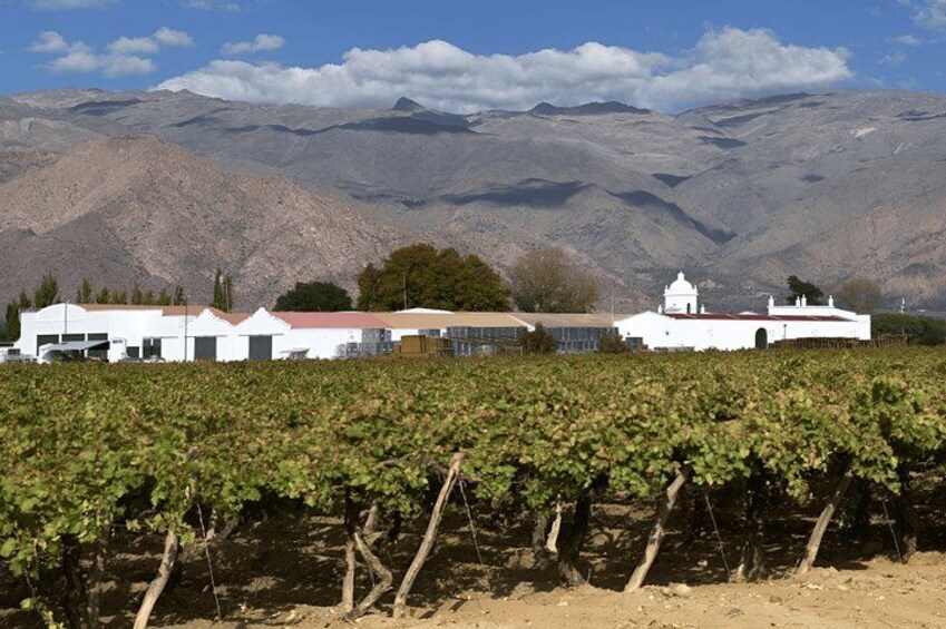 Two days, two breaks : Hornocal Pack and Cafayate 5
