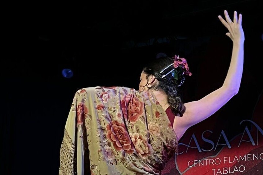 Traditional Flamenco Show at Tablao Casa Ana 2