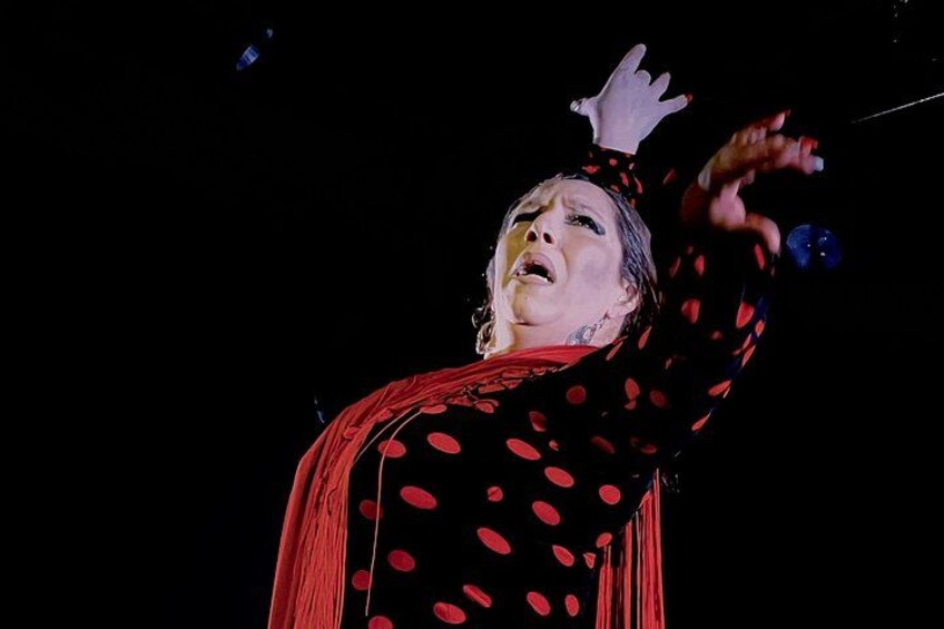 Traditional Flamenco Show at Tablao Casa Ana 3