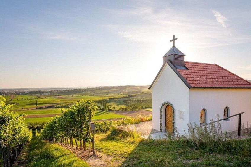 A small white church with a red roof, surrounded by vineyards and fields. 3