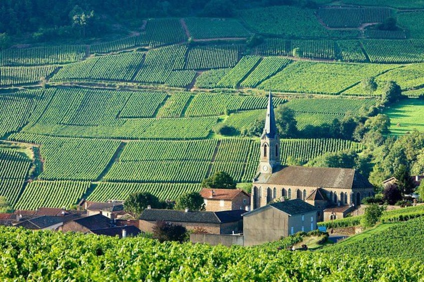 Burgundy Private Shore Tour from Dijon Cruise Port 4
