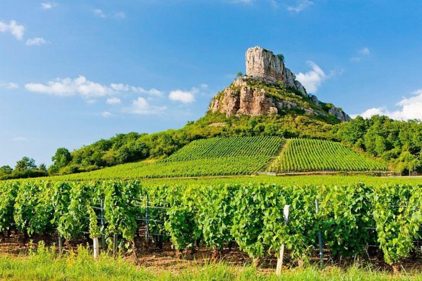 Burgundy Private Shore Tour from Dijon Cruise Port 3