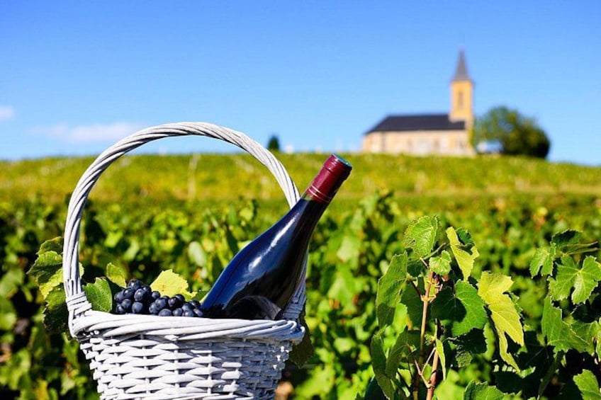 Burgundy Private Shore Tour from Dijon Cruise Port 2
