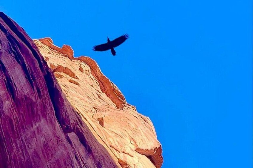 Lake Powell Kayak and Water Antelope Canyon Hike Guided Tour 2