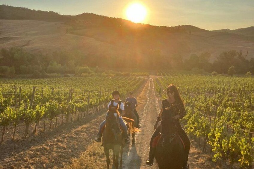 Horseback riding in the hills of Montepulciano in Tuscany 1