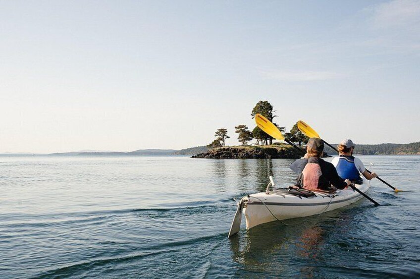 3 Hour Kayaking Tours from Friday Harbor 2