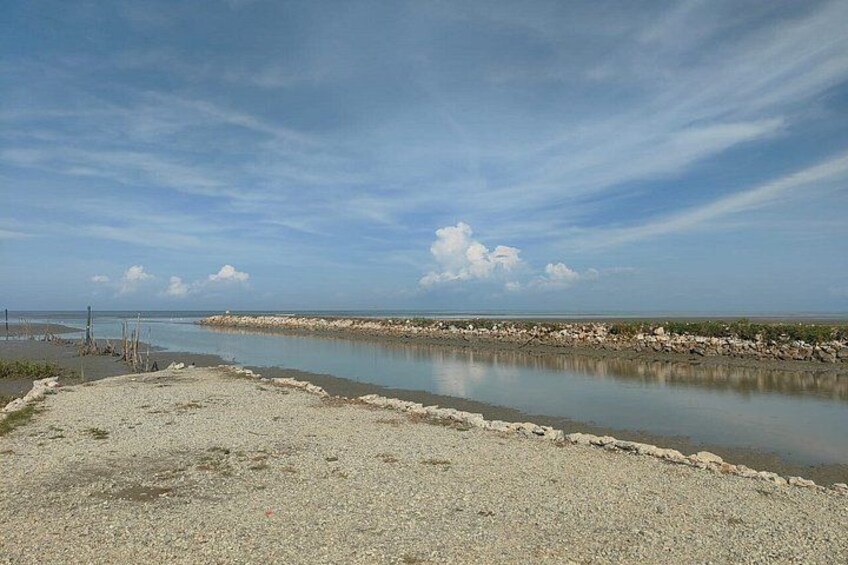 Penang Balik Pulau Countryside Morning Cycling with Transfers 1
