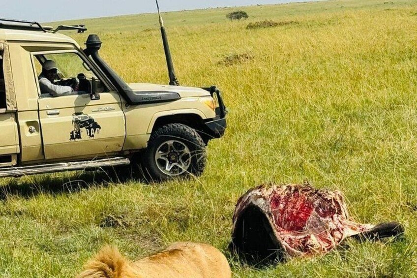 Lake Nakuru day trip from Nairobi 4