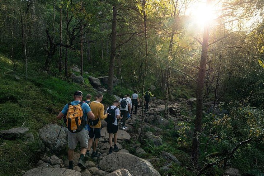 Hikers in a forest 3