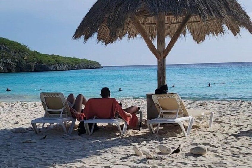 Curacao Beach Hopping, Turtles, Kenepa and Cas abou 5