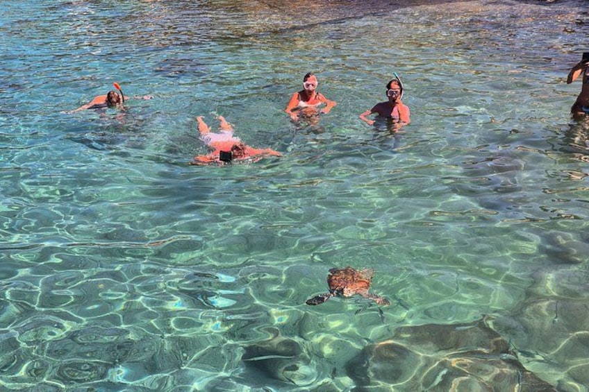 Curacao Beach Hopping, Turtles, Kenepa and Cas abou 4