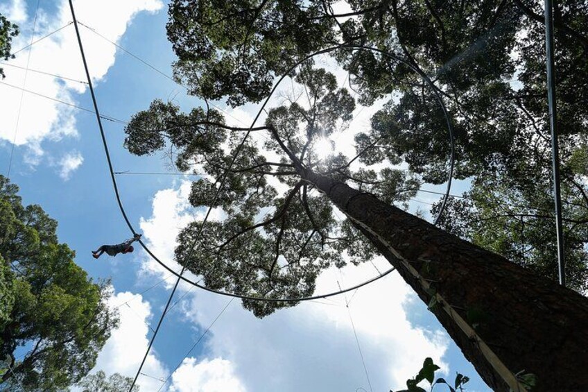Eine Person lässt sich von einem hohen Baum beim Bungeespringen fallen, im Hintergrund ein klarer Himmel und Stromleitungen. 2