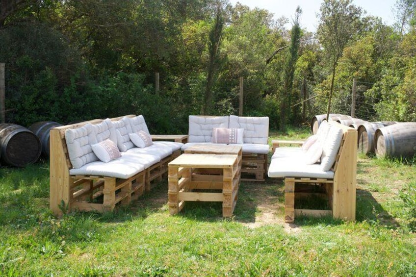 Gourmet picnic and wine tasting among the vineyards in l'Empordà 2