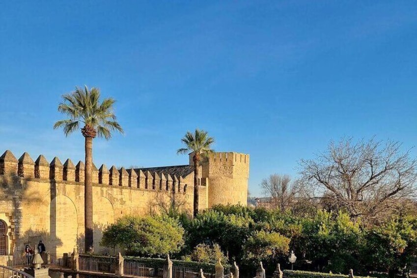 A historic stone wall with battlements, palm trees, and a clear blue sky. 3