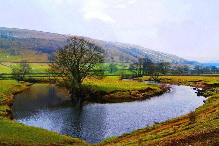 Un río serpentea por un valle con orillas cubiertas de hierba y un árbol en el centro. 5