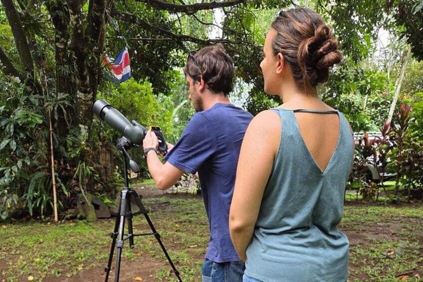 Sloth Observation and Tropical Fruit Tasting Hike 5