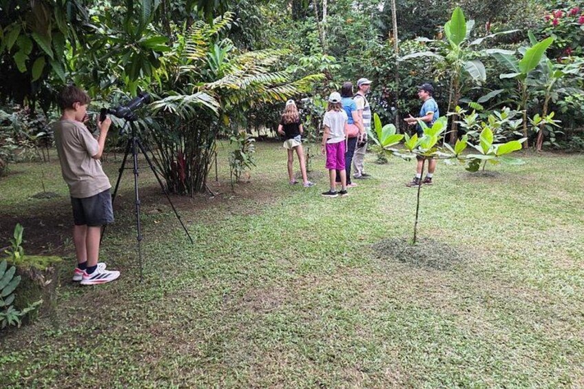 Sloth Observation and Tropical Fruit Tasting Hike 2