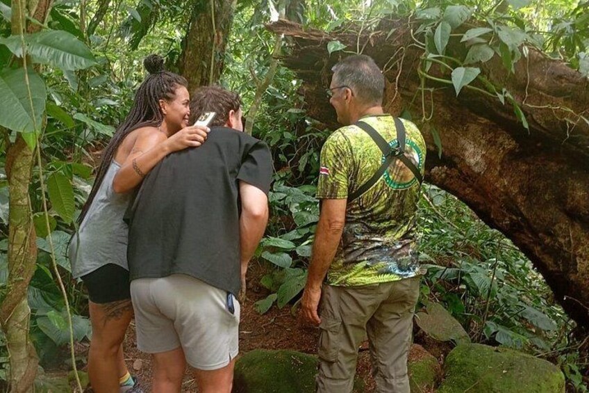 Sloth Observation and Tropical Fruit Tasting Hike 4