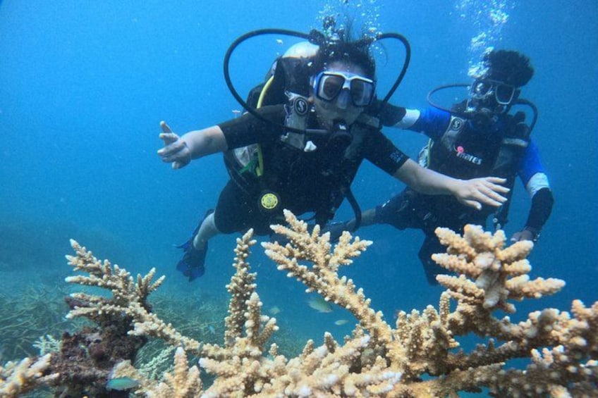 Two scuba divers underwater with coral formations in the foreground. 1