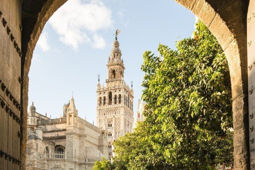 Seville: guided tour of Alcazar, Cathedral, Giralda and Santa Cruz 2