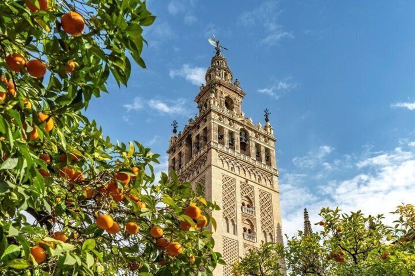 Seville: guided tour of Alcazar, Cathedral, Giralda and Santa Cruz 3