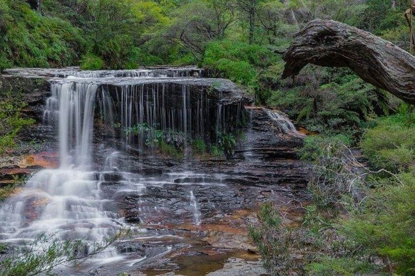 Una cascada que se precipita sobre rocas en un área boscosa. 3