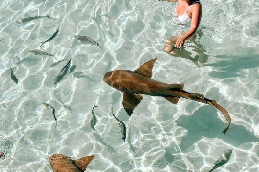 Ultimate Exuma Cays Experience: Full-Day Group Tour from Nassau 2