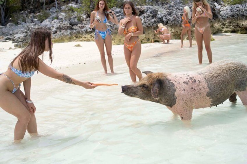 Ultimate Exuma Cays Experience: Full-Day Group Tour from Nassau 3