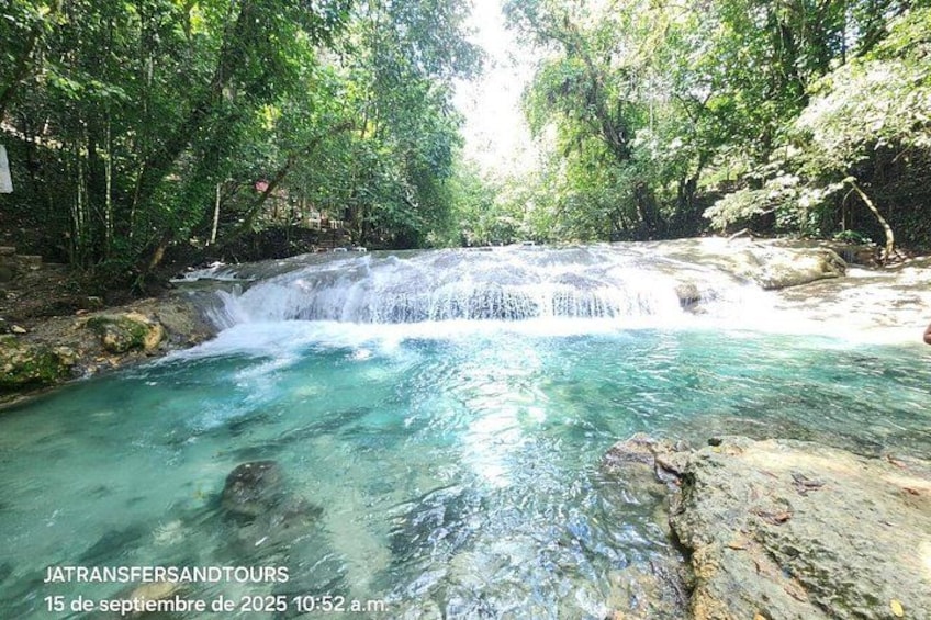 A waterfall in a forested area with clear water. 3