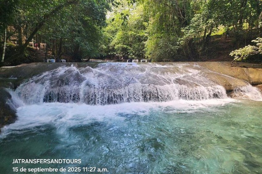 A waterfall in a forested area with clear water. 5