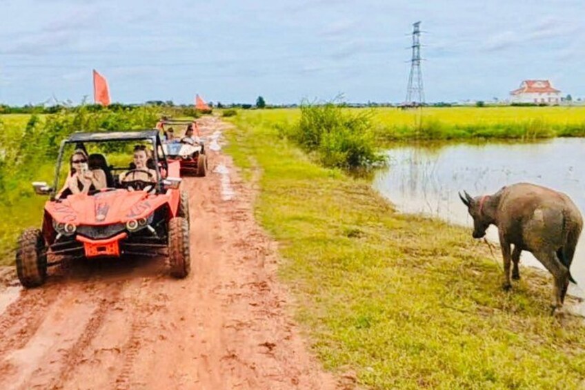 A dirt road with vehicles and a water body. 2