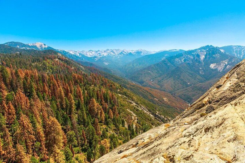A mountainous landscape with autumn-colored trees, a rocky slope, and distant snow-capped peaks. 2