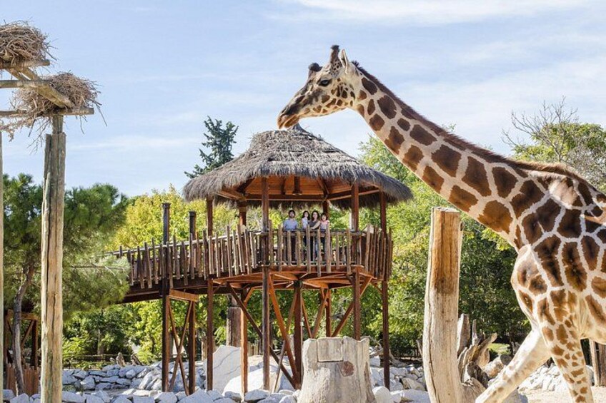 Zoo Aquarium Madrid Admission Ticket 2