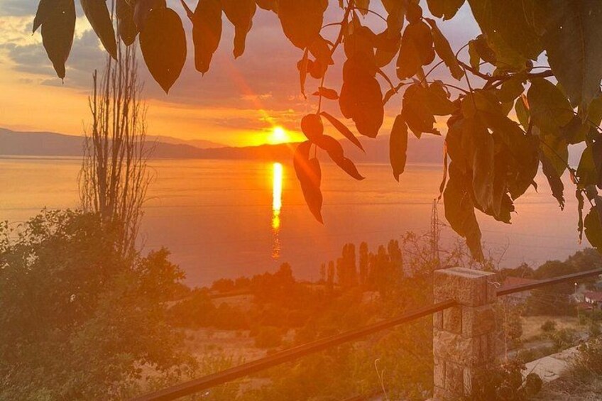Vik's Unique Wine Tasting Experience in Ohrid 3