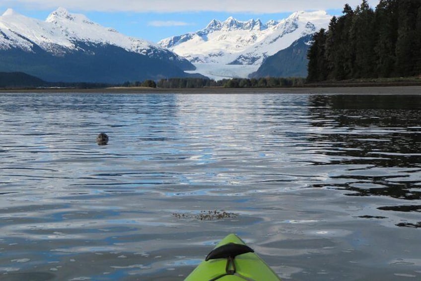 Private Group Kayaking Tour with Mendenhall Glacier Views 2