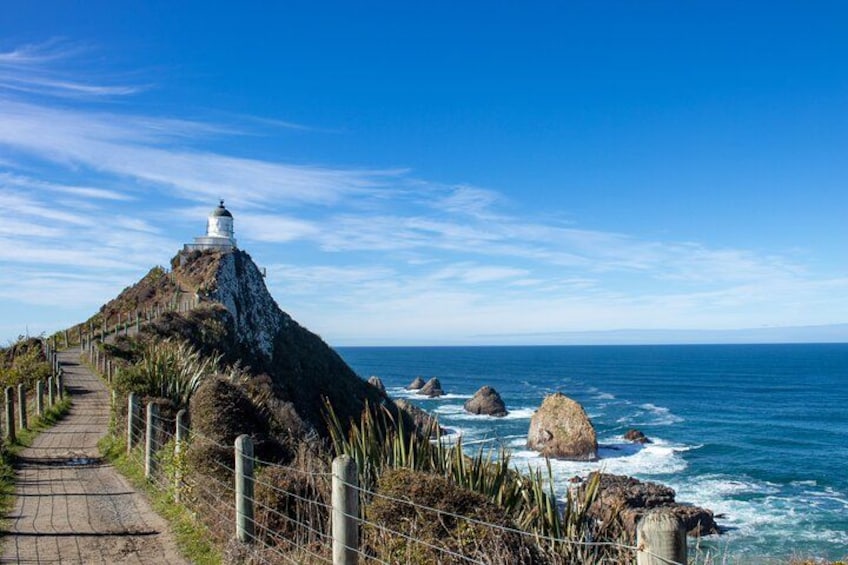 Te Anau to Dunedin Via The Catlins Small-Group Tour (One-Way) 1