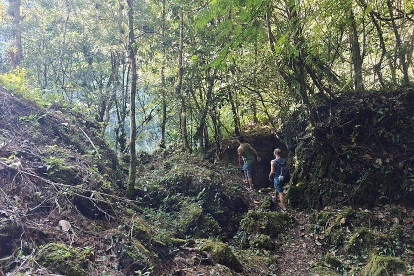 Dos personas caminando por senderos en un área boscosa con vegetación densa y una pendiente pronunciada. 2
