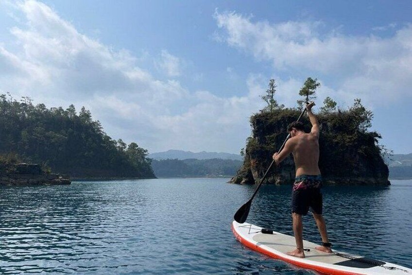 Una persona fa paddleboarding su acque calme, con un'isola boscosa sullo sfondo. 1