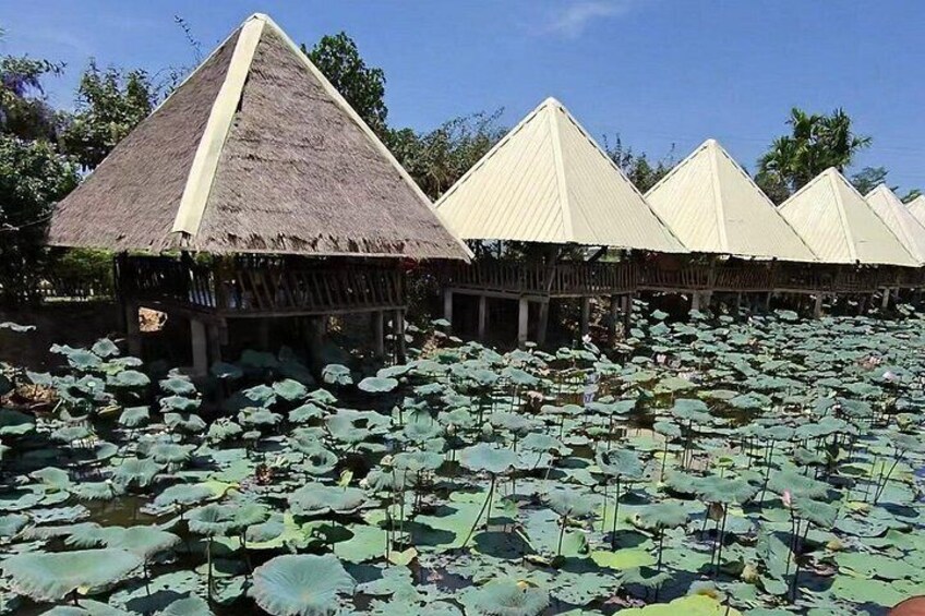 Rural Countryside Experience Tour in Siem Reap 3