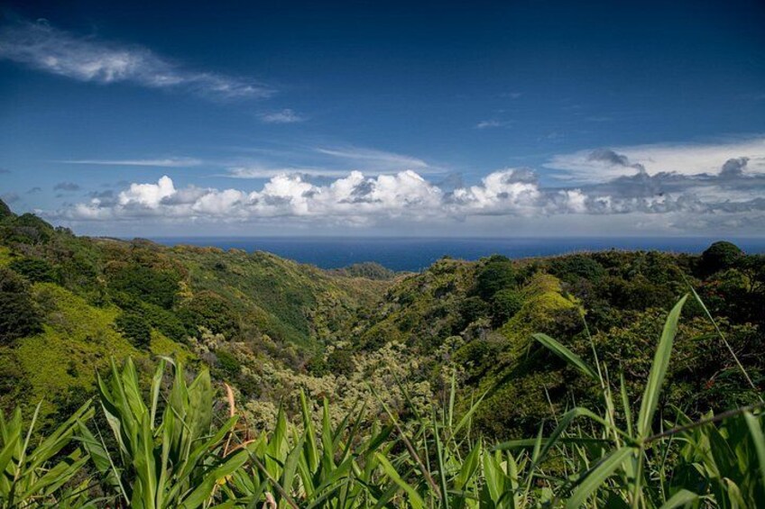 Ocean and Jungle views- Road to Hana Halfway 3