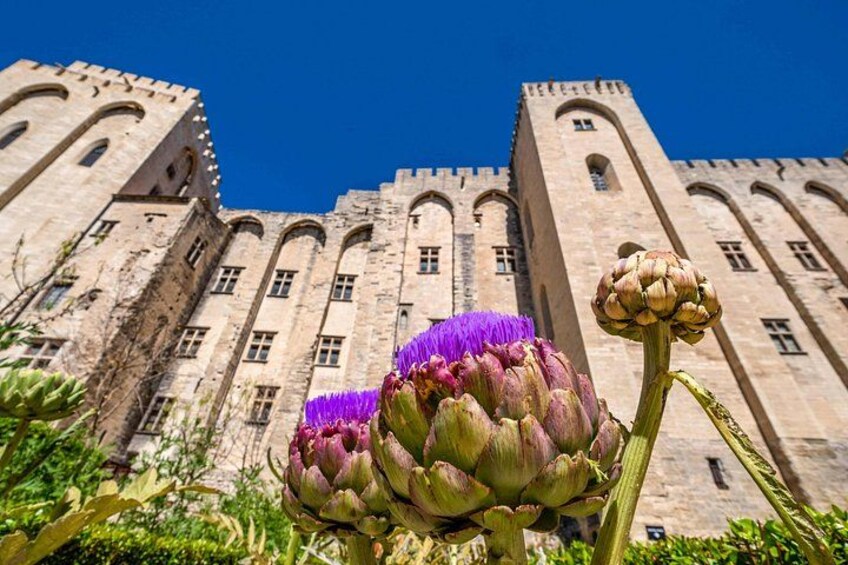 Avignon Walking Tour with Audioguide on Your Smartphone 3