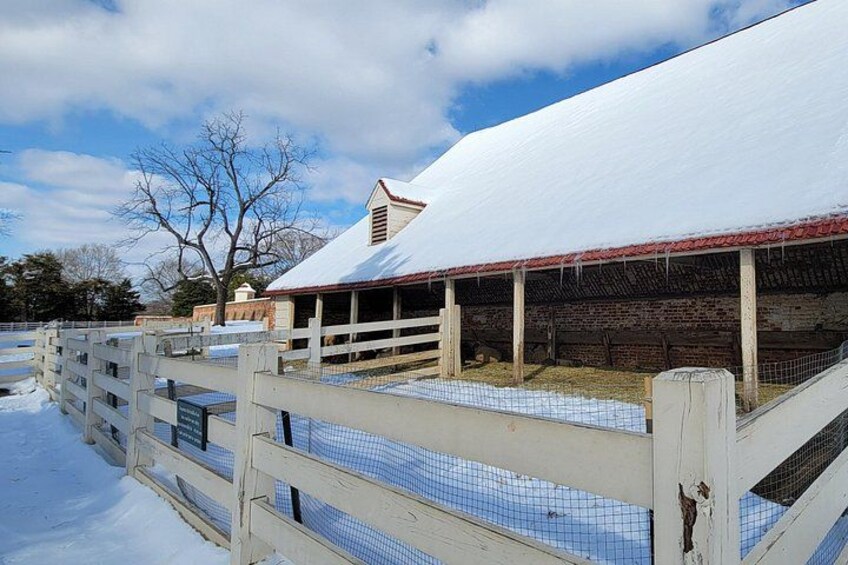 Mount Vernon & Old Town Alexandria Private Tour 4