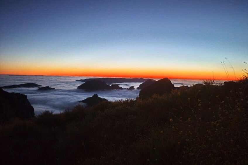 A coastal sunset with waves, rocks, and vegetation. 5