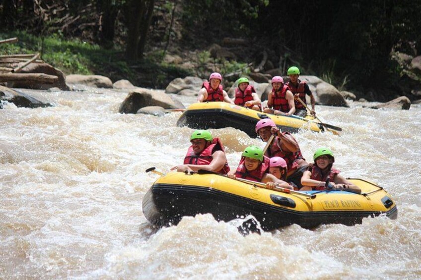 Half Day Elephant care and Whitewater Rafting Adventure 1
