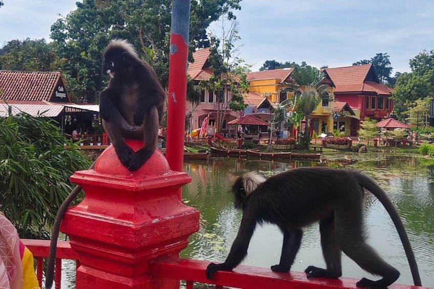 Un singe est assis sur une structure rouge, près d’une étendue d’eau, avec des bâtiments colorés en arrière-plan. 4